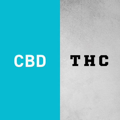 CBD vs THC: The Differences You Need to Know